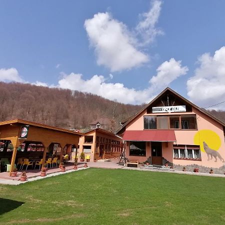 Pensiunea Colt Alb Baile Homorod Bagian luar foto