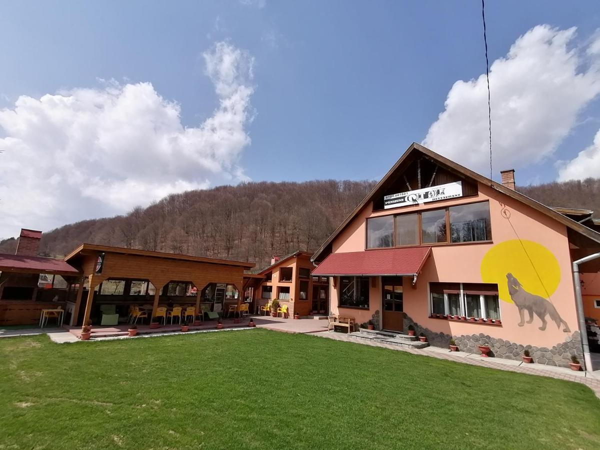 Pensiunea Colt Alb Baile Homorod Bagian luar foto