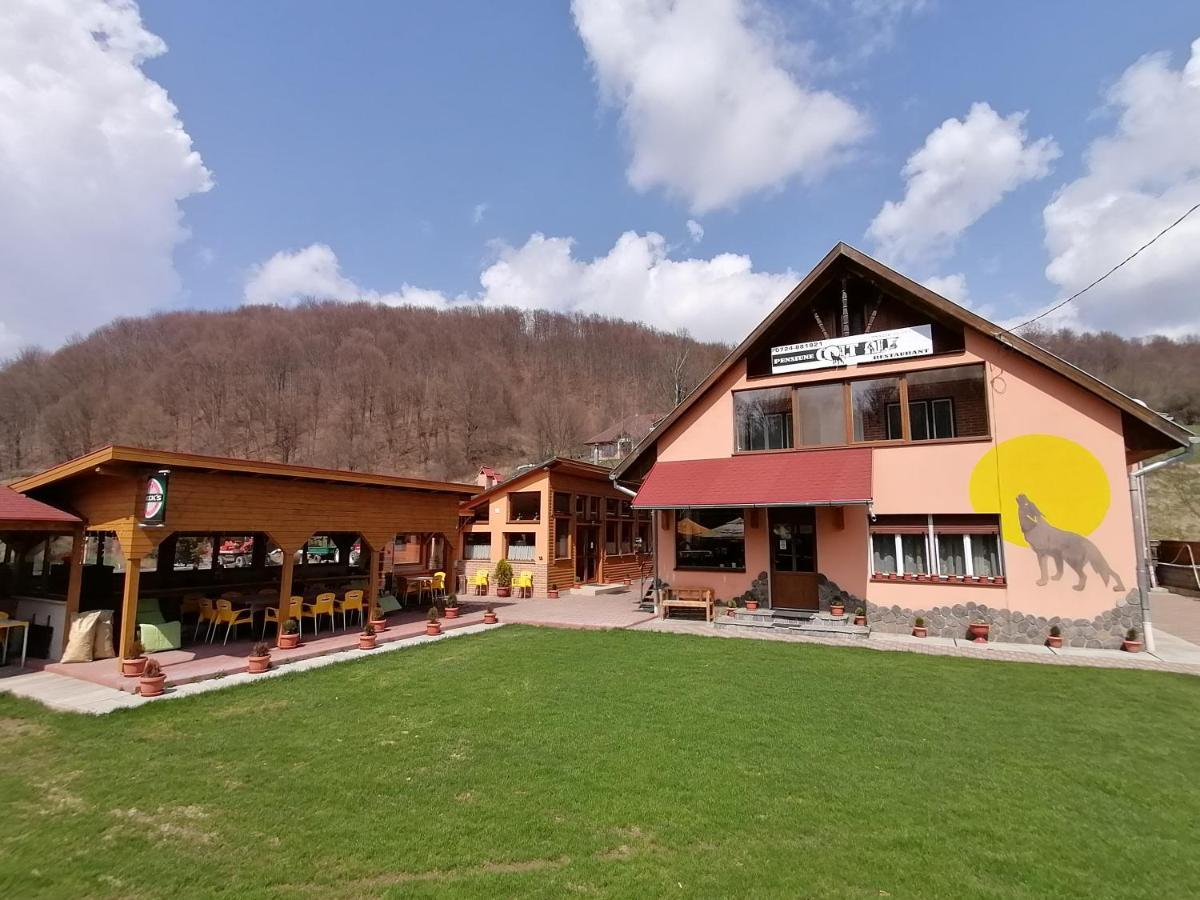 Pensiunea Colt Alb Baile Homorod Bagian luar foto