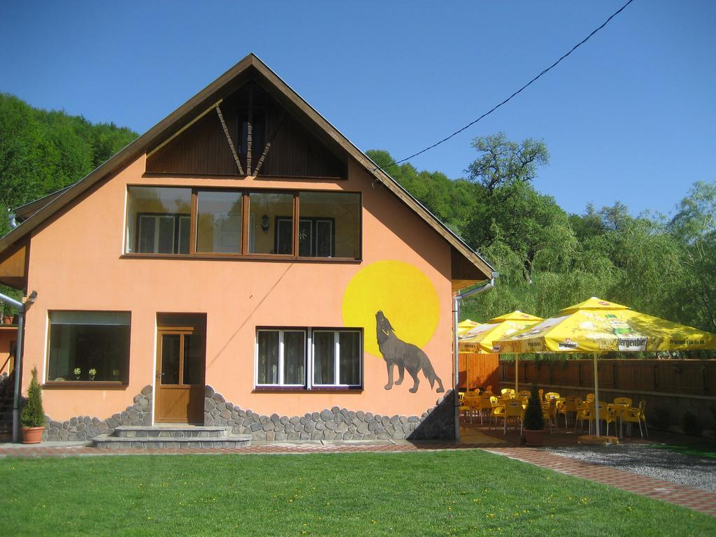 Pensiunea Colt Alb Baile Homorod Bagian luar foto