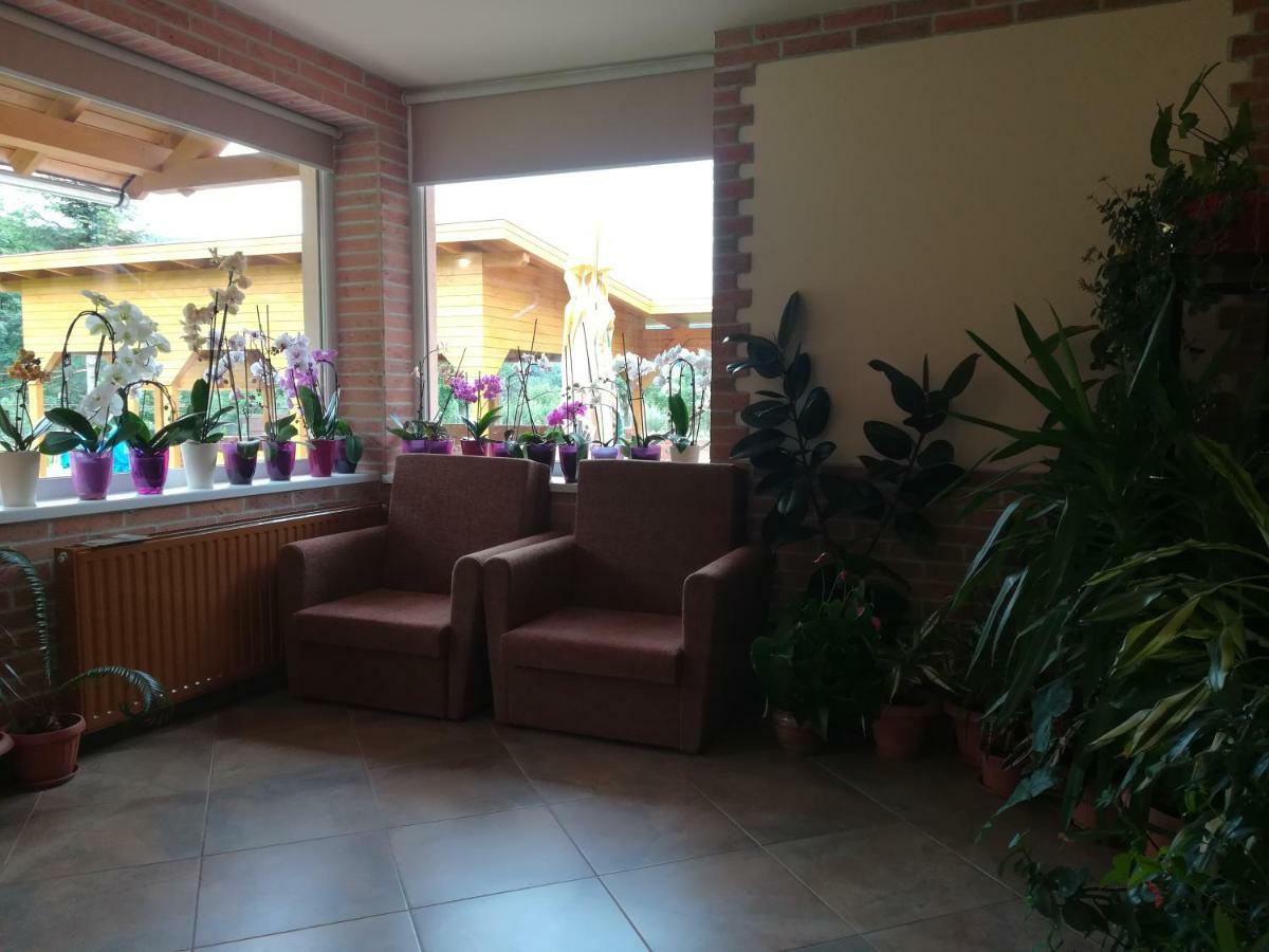 Pensiunea Colt Alb Baile Homorod Bagian luar foto