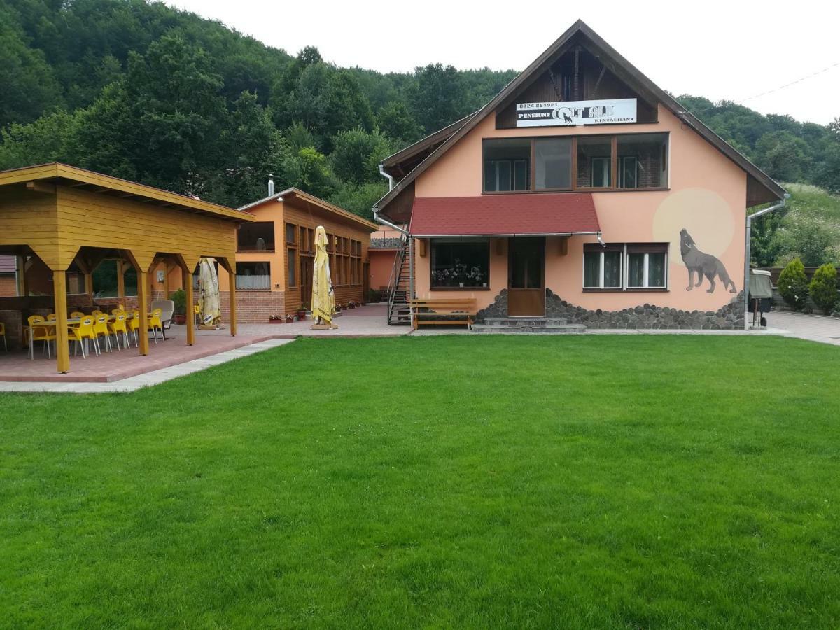 Pensiunea Colt Alb Baile Homorod Bagian luar foto