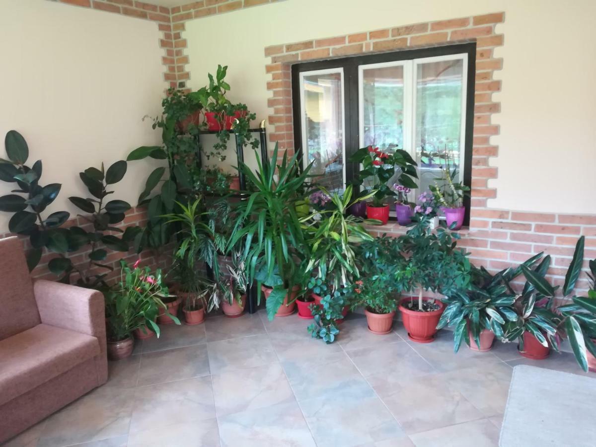 Pensiunea Colt Alb Baile Homorod Bagian luar foto